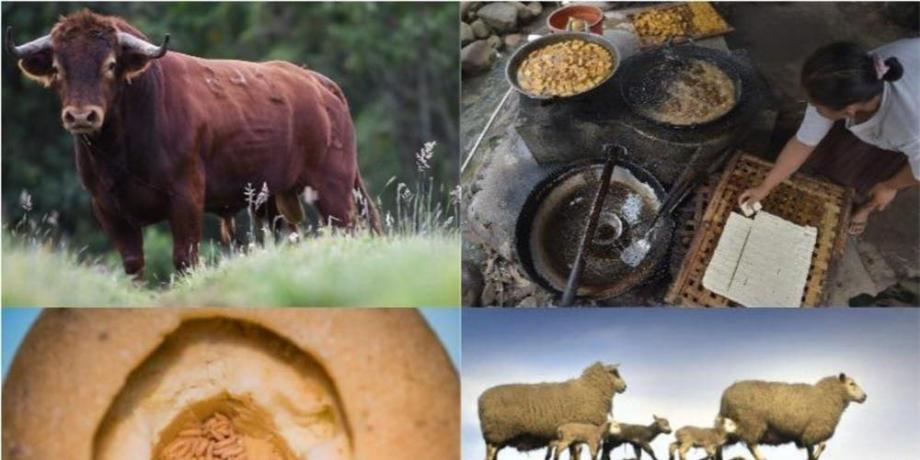 Lastimosamente algunos de los animales están en vía de extinción