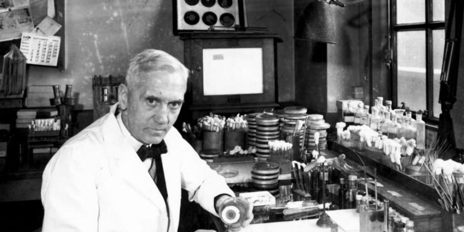 El científico británico Alexander Fleming fue quien descubrió que las esporas de un hongo eran capaces de destruir bacterias.