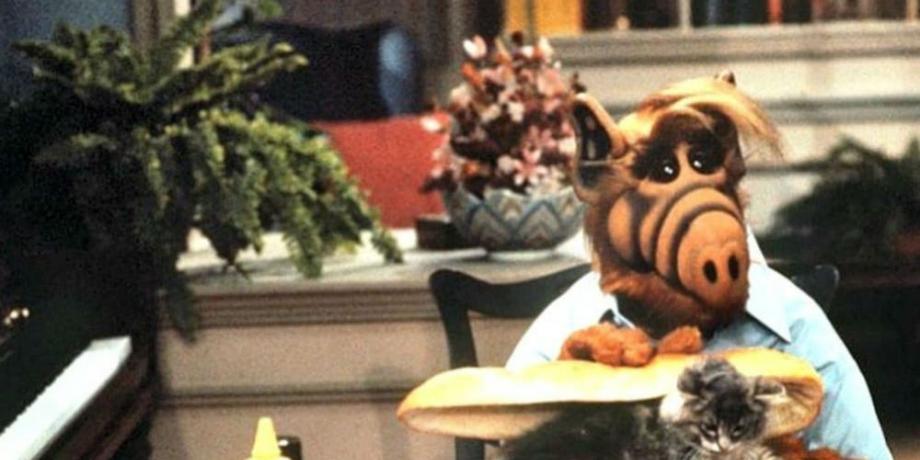 Sándwich de gato, el plato favorito de Alf
