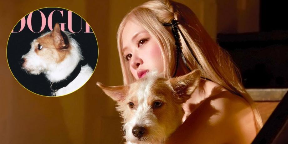 Rosé y Hank | Web