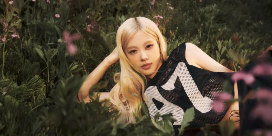 Cortesía de exitoina