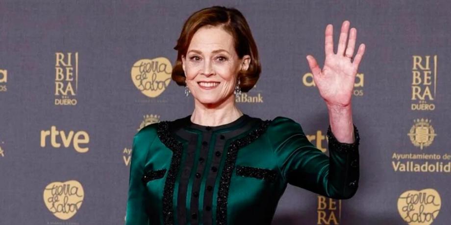 Cortesía de diariopanorama