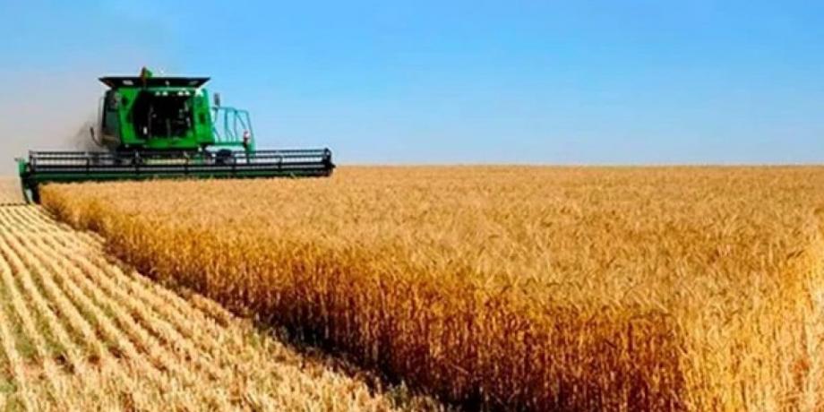 Cortesía de elliberal