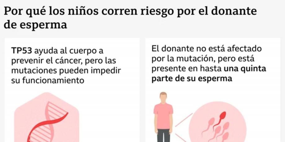 Cortesía de diariopanorama