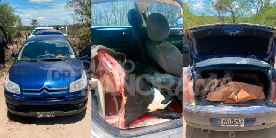 Foto: Gentileza diariopanorama