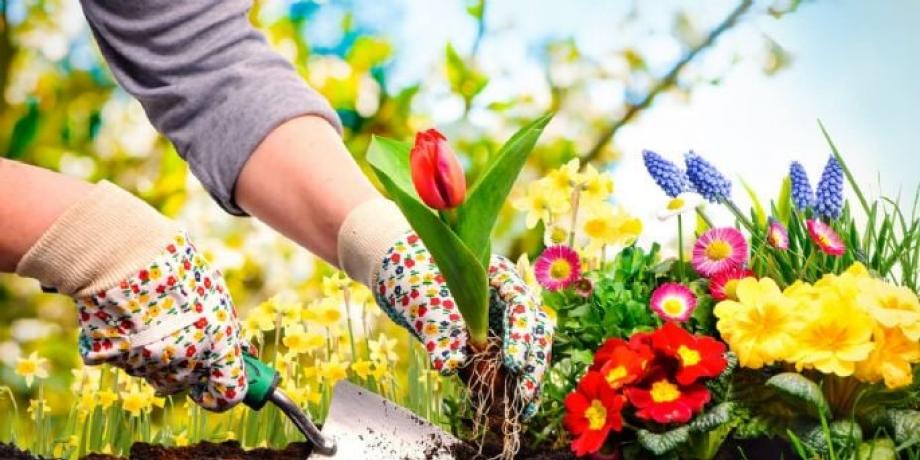 Cortesía de minutoneuquen