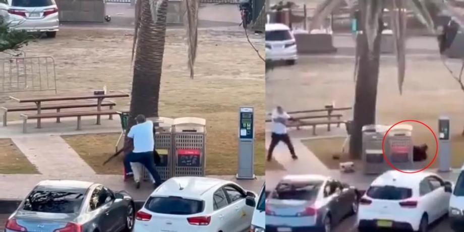 Cortesía de diariopanorama