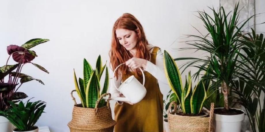 Cortesía de minutoneuquen