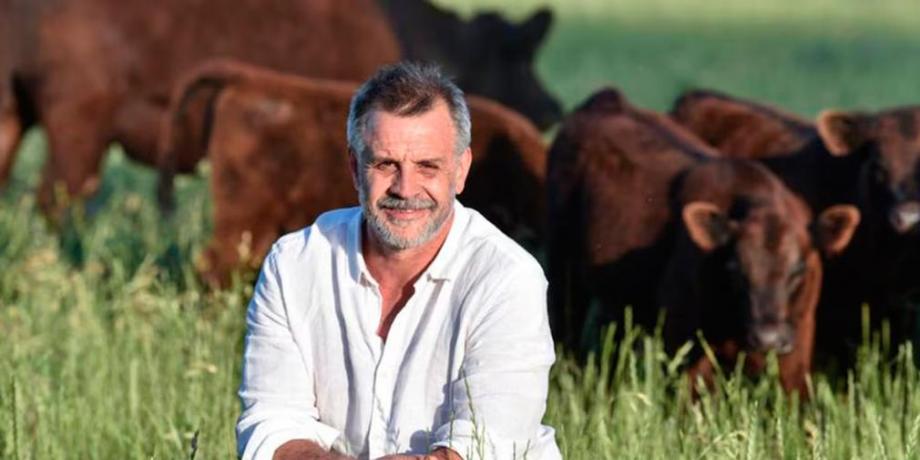 Cortesía de diariopanorama