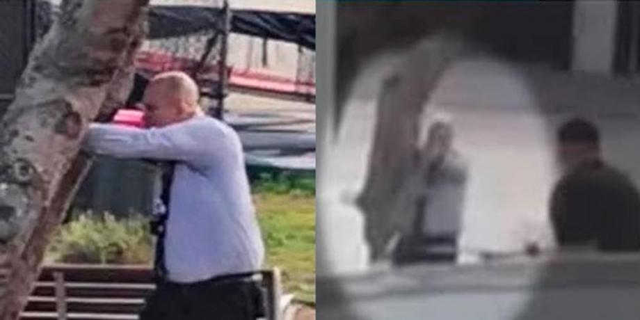 Cortesía de diariopanorama