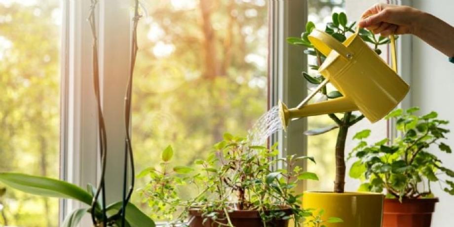 Cortesía de minutoneuquen