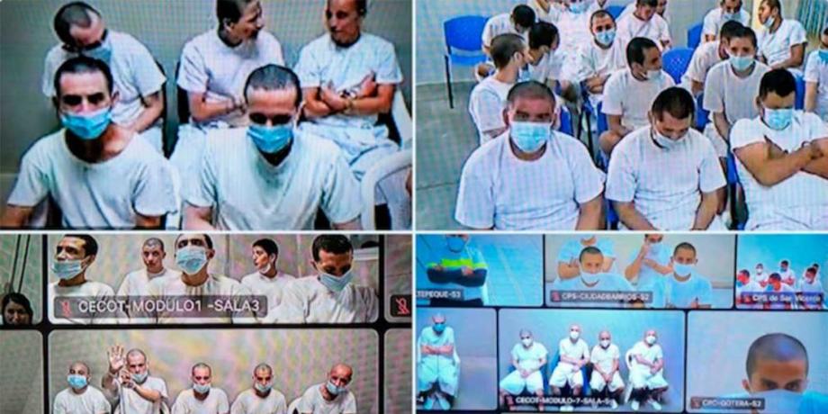 Cortesía de diariopanorama