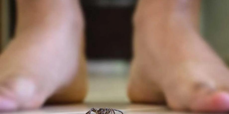 Foto: Gentileza nuevodiarioweb