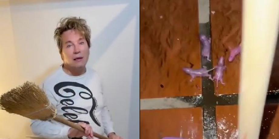 Cortesía de minuto1