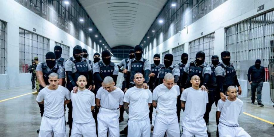 Cortesía de diariopanorama