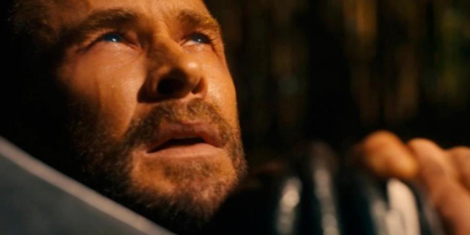 Cortesía de diariopanorama