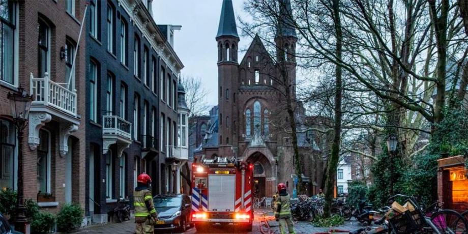 Cortesía de diariopanorama