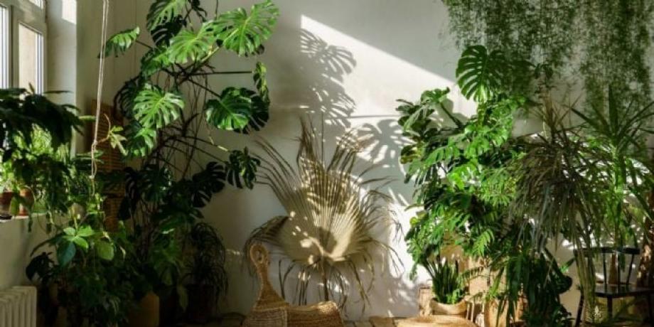 Cortesía de minutoneuquen