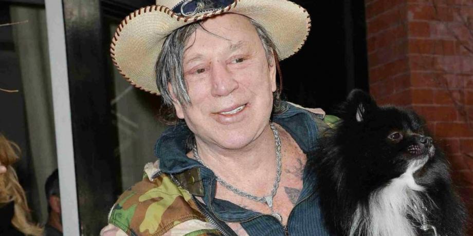 Cortesía de exitoina