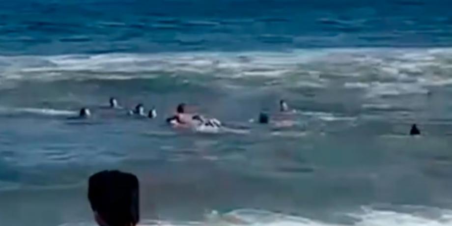 Cortesía de tiempodesanjuan