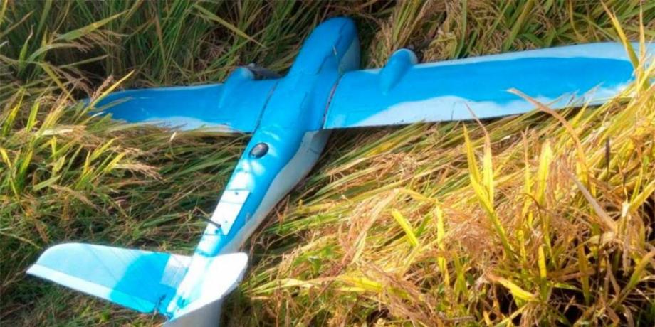 Cortesía de diariopanorama