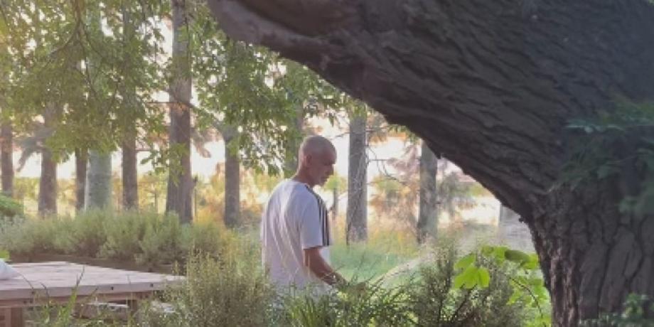 Cortesía de exitoina