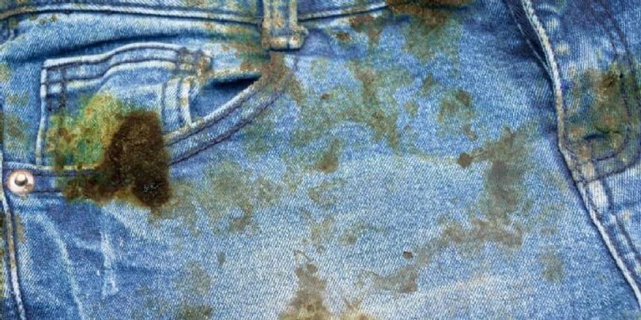 Cortesía de minutoneuquen