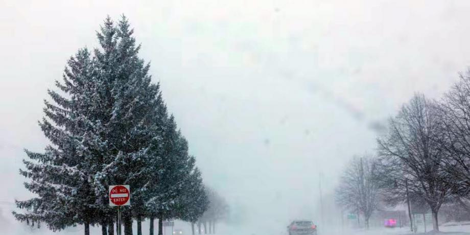 Cortesía de diariopanorama