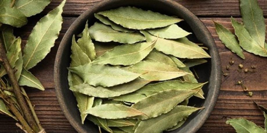 Cortesía de minutoneuquen