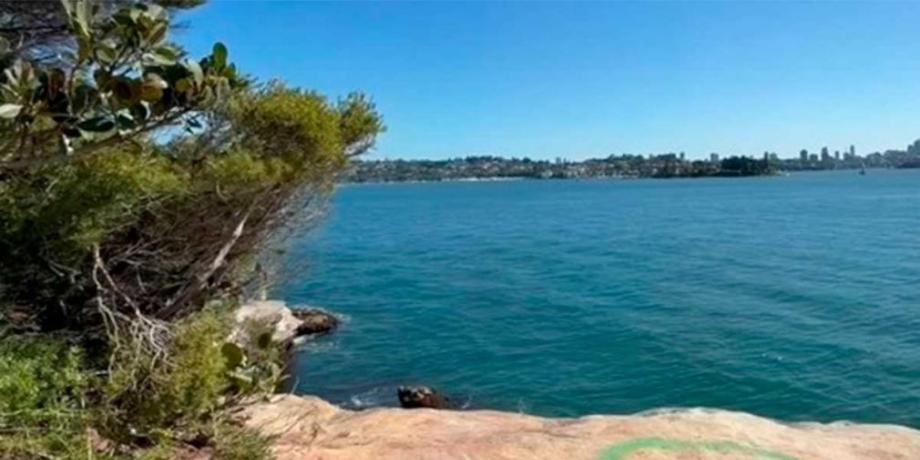 Cortesía de diariopanorama