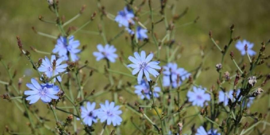 Cortesía de minutoneuquen