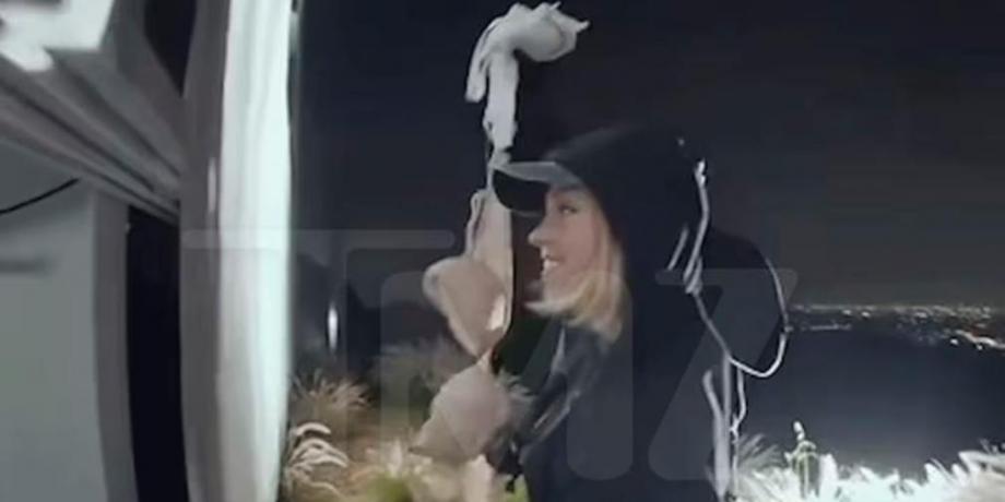 Cortesía de diariopanorama