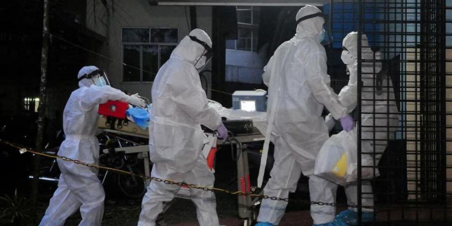 Cortesía de diariopanorama