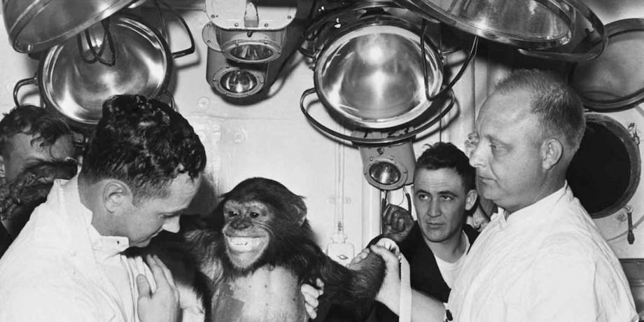 Cortesía de diariopanorama