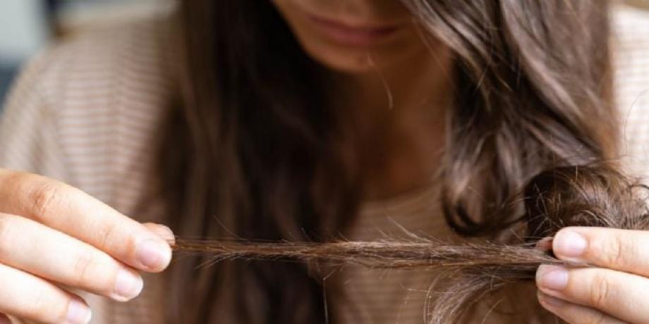 Cortesía de minutoneuquen