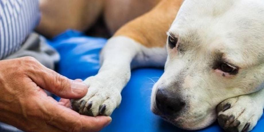 Cortesía de minutoneuquen