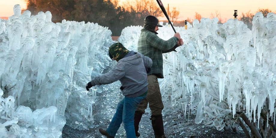 Cortesía de diariopanorama