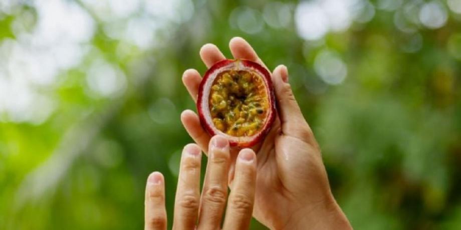 Cortesía de minutoneuquen