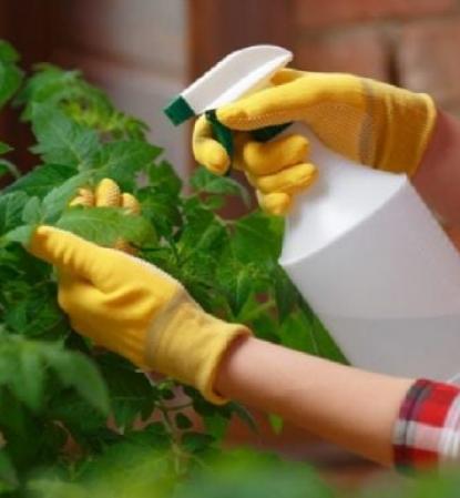 Errores de jardinería en febrero que afectan el jardín en otoño