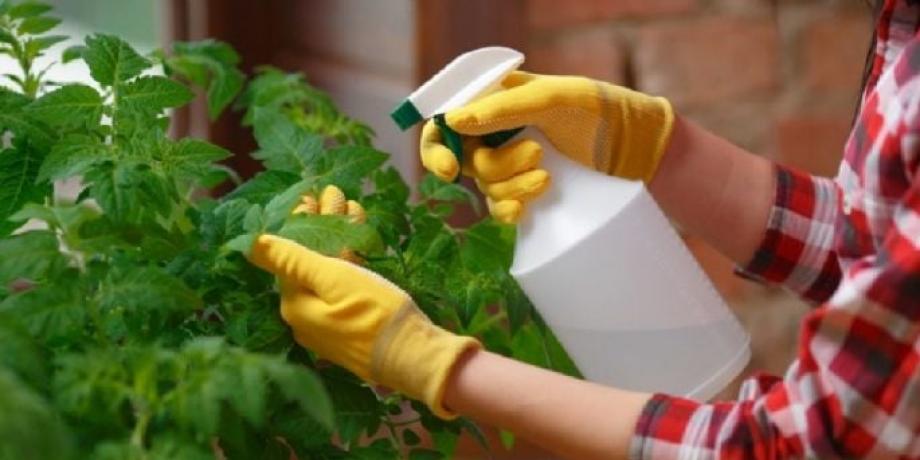 Cortesía de minutoneuquen