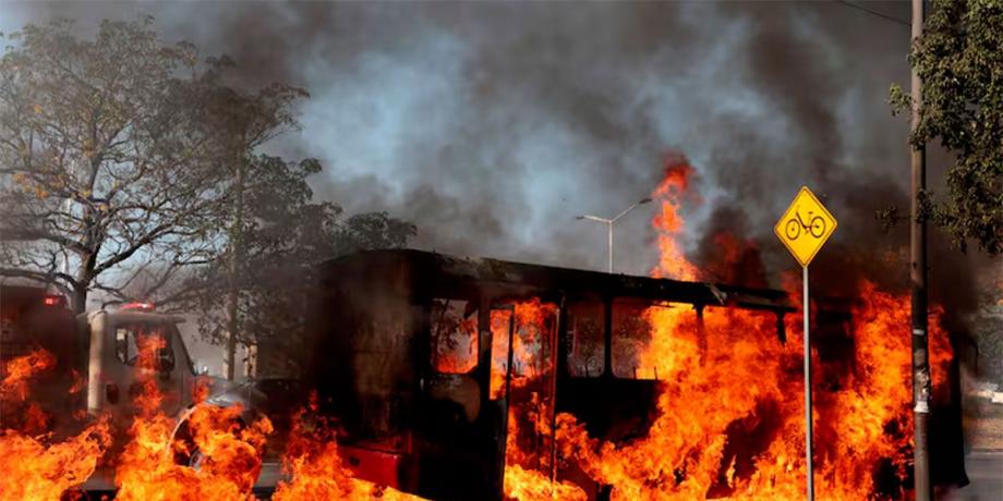 Cortesía de diariopanorama