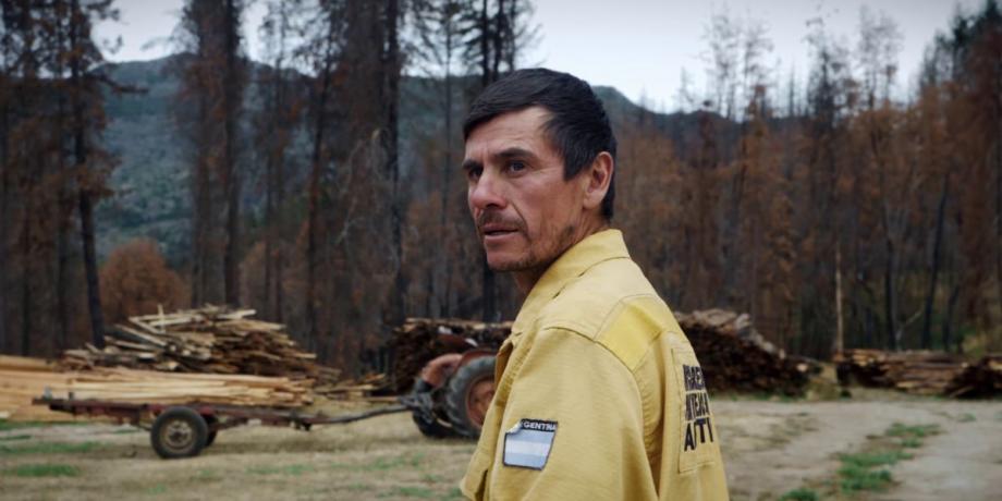 Cortesía de diariopanorama