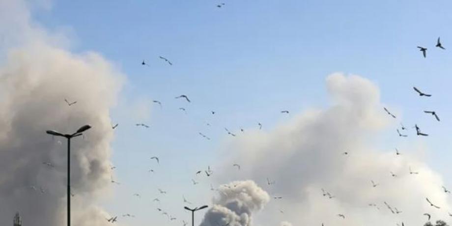 Cortesía de minuto1