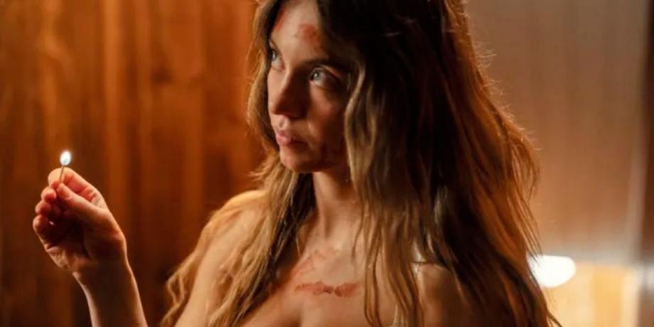 Cortesía de diariopanorama