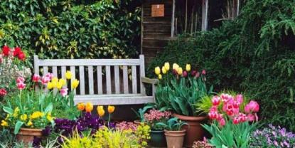 Riego de Plantas: Guía Completa según las Estaciones del Año