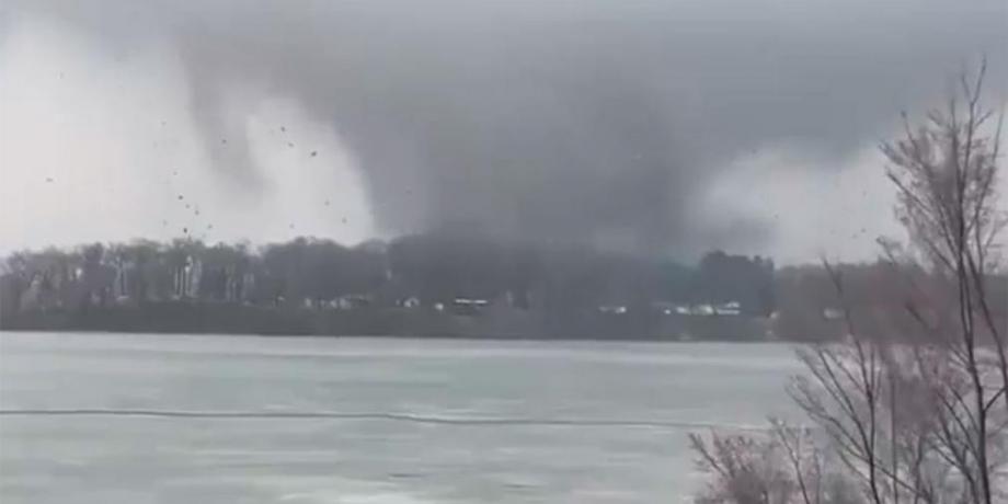 Cortesía de diariopanorama