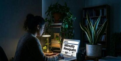 Plantas resistentes para oficinas: soluciones verdes para ambientes cerrados