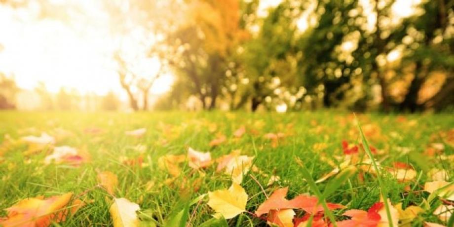 Cortesía de minutoneuquen