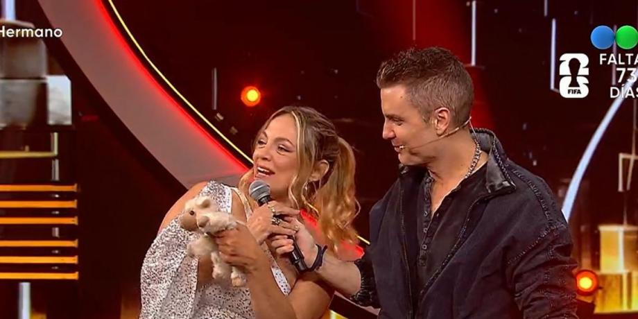 Cortesía de exitoina