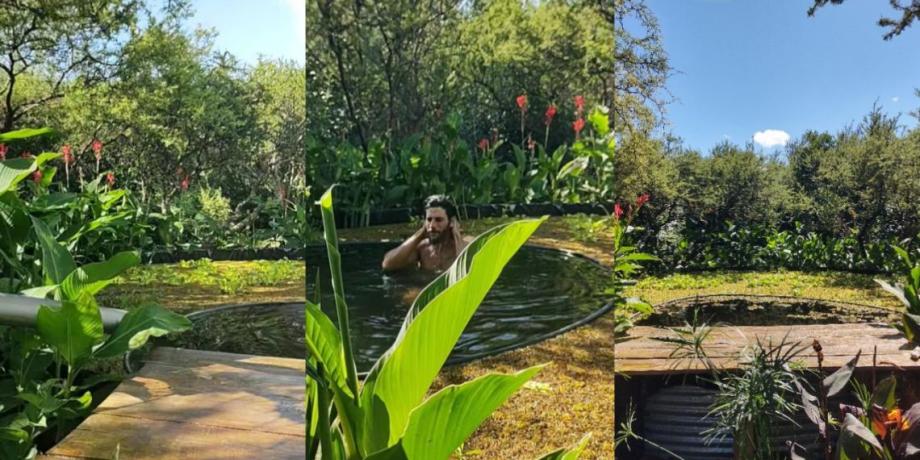 Cortesía de exitoina